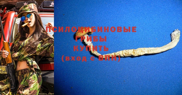 стаф Абинск
