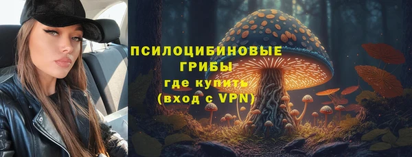 мдпв Ростов