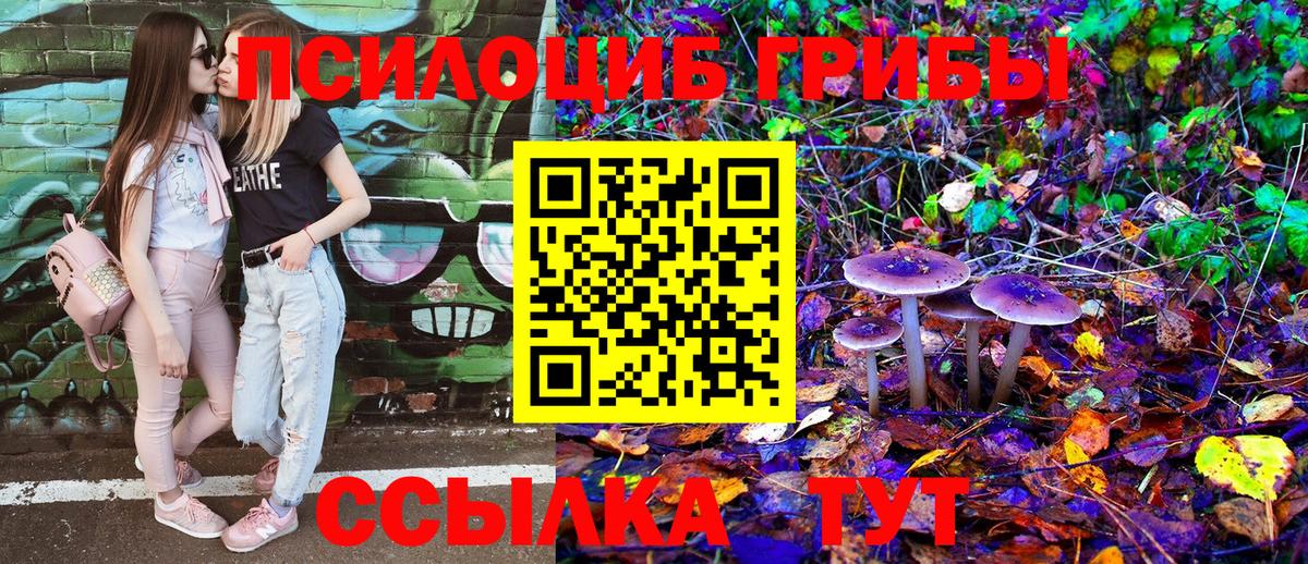 Галлюциногенные грибы GOLDEN TEACHER  Вход с VPN  Красный Сулин 