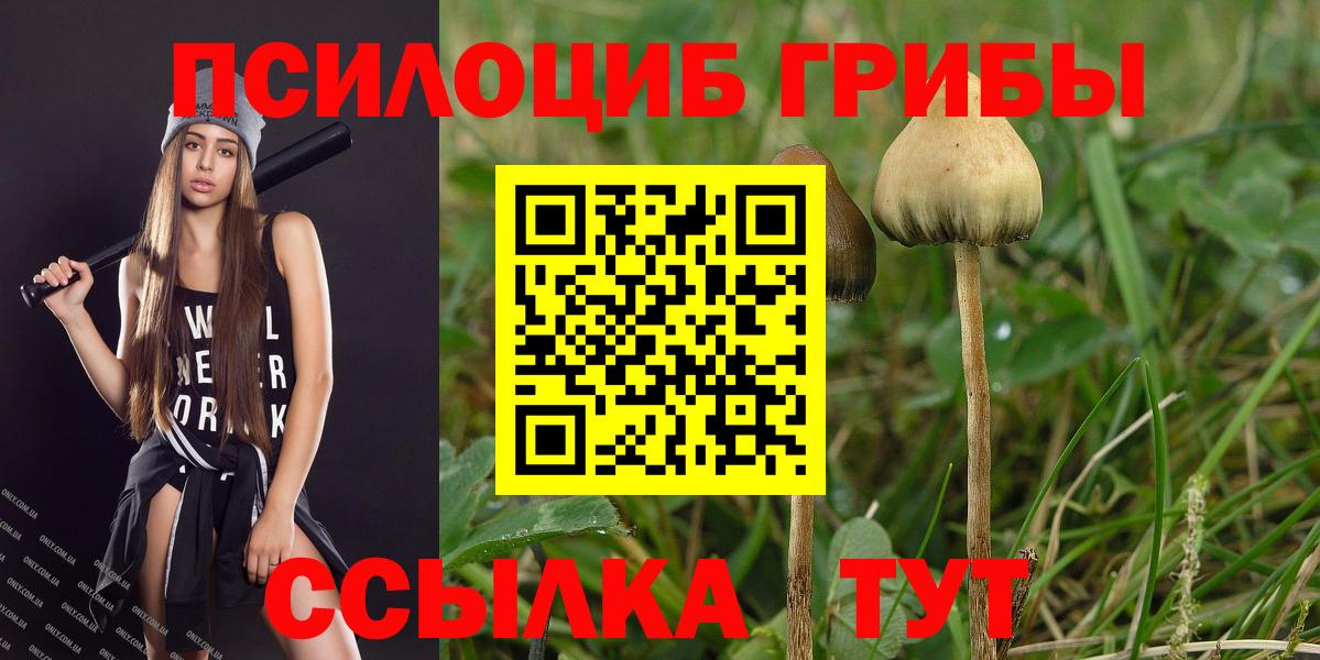 Псилоцибиновые грибы Magic Shrooms Красный Сулин